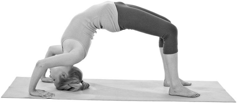 Иллюстрация к книге — Йога при остеопорозе [_76.jpg]