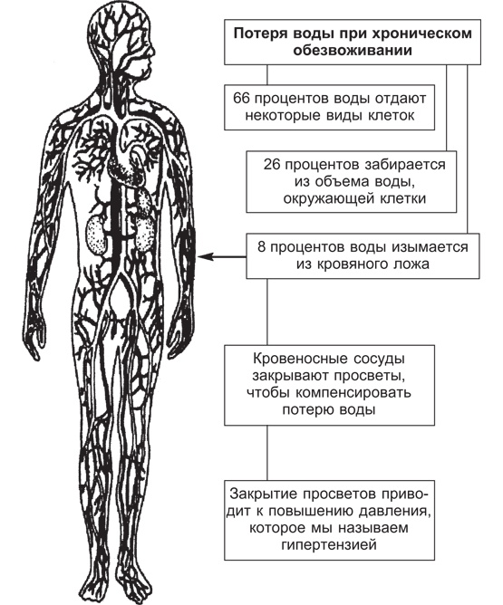 Иллюстрация к книге — Вода для здоровья [i_003.jpg]