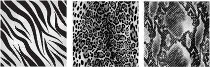 Иллюстрация к книге — Маленькие секреты идеального гардероба [i_067.jpg]