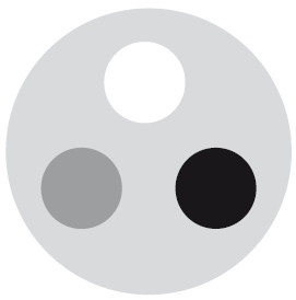 Иллюстрация к книге — Маленькие секреты идеального гардероба [i_149.jpg]