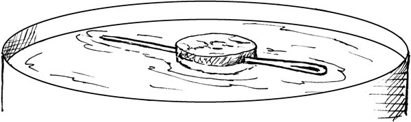 Иллюстрация к книге — Всегда готов! Курс выживания в экстремальных условиях для современных мужчин [_01compass.jpg]