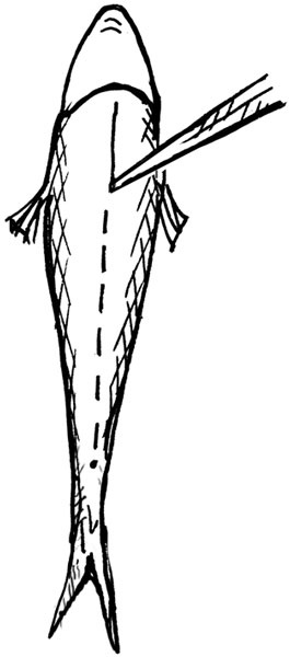 Иллюстрация к книге — Всегда готов! Курс выживания в экстремальных условиях для современных мужчин [_18fish1.jpg]