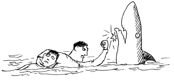 Иллюстрация к книге — Всегда готов! Курс выживания в экстремальных условиях для современных мужчин [_27drown2.jpg]