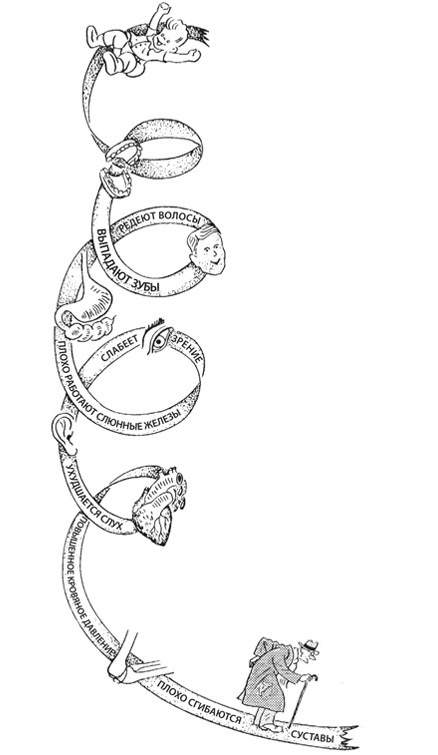 Иллюстрация к книге — Здоровая нервная система [i_002.jpg]