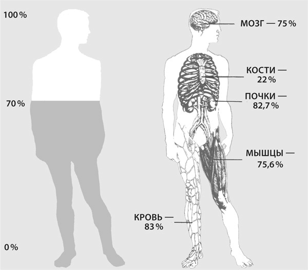 Иллюстрация к книге — Здоровая нервная система [i_029.jpg]