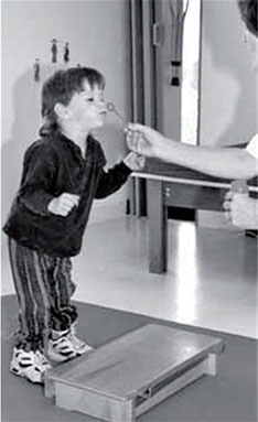 Иллюстрация к книге — Обучение моторным навыкам детей с ДЦП. Пособие для родителей и профессионалов [i_208.jpg]