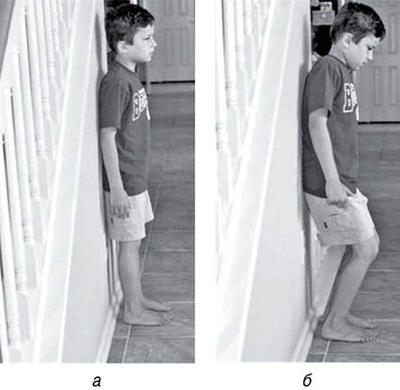 Иллюстрация к книге — Обучение моторным навыкам детей с ДЦП. Пособие для родителей и профессионалов [i_253.jpg]