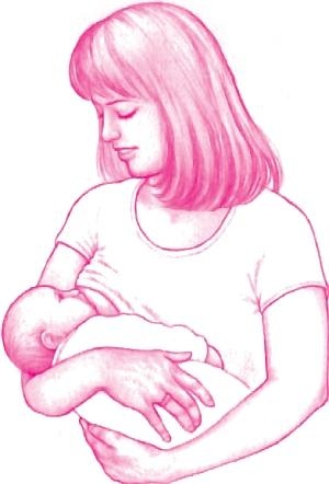 Иллюстрация к книге — Ваш малыш от рождения до двух лет [_02.jpg]