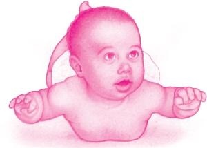 Иллюстрация к книге — Ваш малыш от рождения до двух лет [_116.jpg]