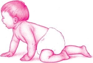 Иллюстрация к книге — Ваш малыш от рождения до двух лет [_127.jpg]