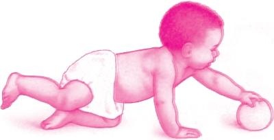 Иллюстрация к книге — Ваш малыш от рождения до двух лет [_131.jpg]