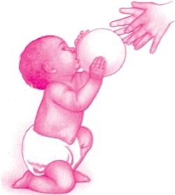 Иллюстрация к книге — Ваш малыш от рождения до двух лет [_141.jpg]