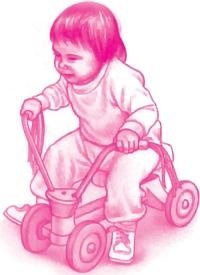 Иллюстрация к книге — Ваш малыш от рождения до двух лет [_161.jpg]