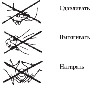 Иллюстрация к книге — Ваш малыш от рождения до двух лет [_37.jpg]