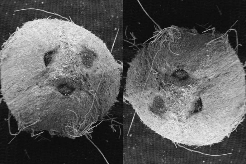 Иллюстрация к книге — Мозгоускорители. Как научиться эффективно мыслить, используя приемы из разных наук [i_002.jpg]