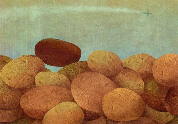 Иллюстрация к книге — Кондитерские истории. На углу Тополиной и Розмариновой [i_014.jpg]