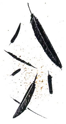 Иллюстрация к книге — Пастух [i_004.jpg]