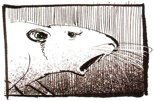 Иллюстрация к книге — Пастух [i_055.jpg]