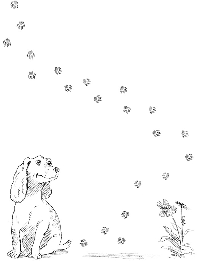 Иллюстрация к книге — Собака по щучьему велению [i_002.jpg]