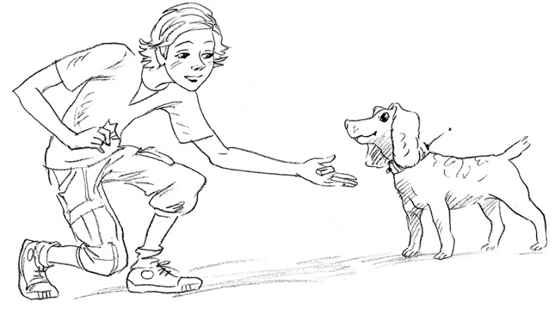 Иллюстрация к книге — Собака по щучьему велению [i_003.jpg]