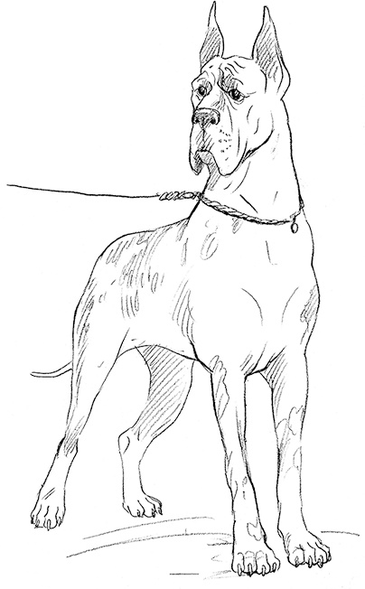 Иллюстрация к книге — Собака по щучьему велению [i_011.jpg]