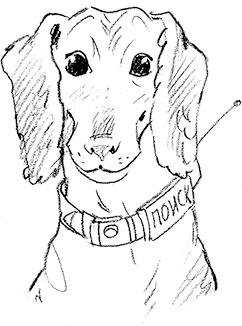 Иллюстрация к книге — Собака по щучьему велению [i_015.jpg]