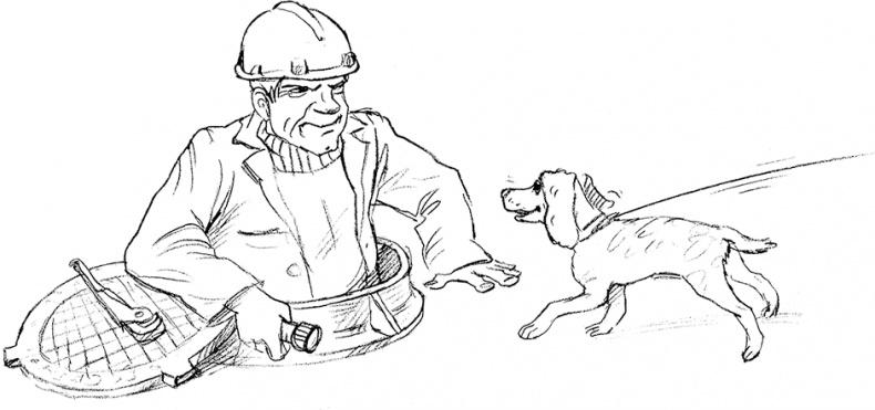 Иллюстрация к книге — Собака по щучьему велению [i_023.jpg]