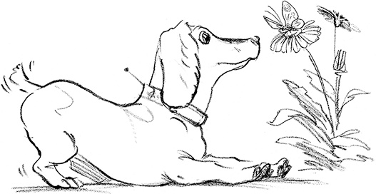 Иллюстрация к книге — Собака по щучьему велению [i_024.jpg]