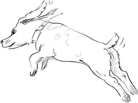 Иллюстрация к книге — Собака по щучьему велению [i_025.jpg]