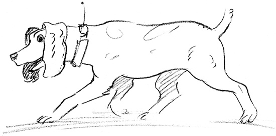 Иллюстрация к книге — Собака по щучьему велению [i_029.jpg]