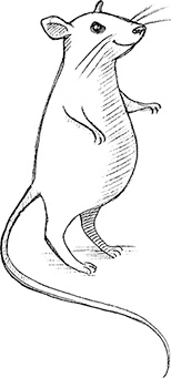 Иллюстрация к книге — Собака по щучьему велению [i_030.jpg]