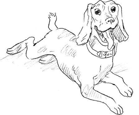 Иллюстрация к книге — Собака по щучьему велению [i_031.jpg]