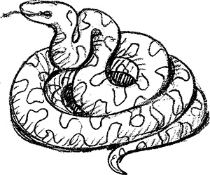 Иллюстрация к книге — Волшебник с пятачком [i_003.jpg]