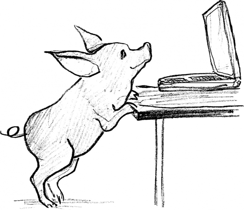 Иллюстрация к книге — Волшебник с пятачком [i_024.jpg]