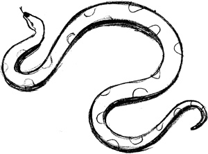 Иллюстрация к книге — Волшебник с пятачком [i_029.jpg]