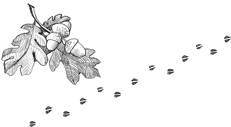 Иллюстрация к книге — Волшебник с пятачком [i_034.jpg]