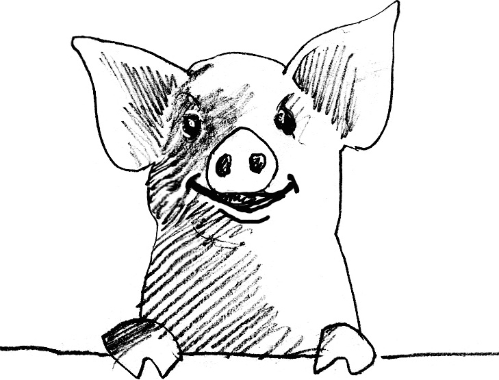 Иллюстрация к книге — Волшебник с пятачком [i_040.jpg]