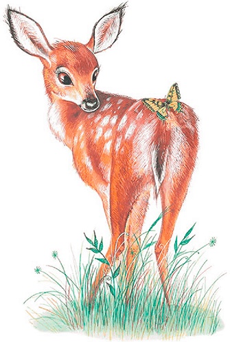 Иллюстрация к книге — Бемби [i_003.jpg]