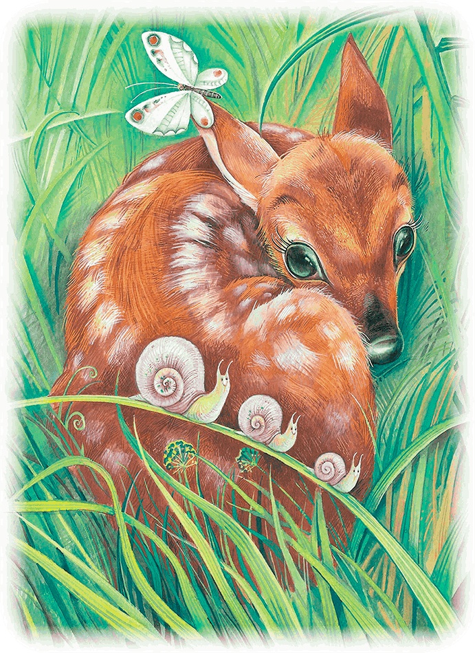 Иллюстрация к книге — Бемби [i_004.jpg]