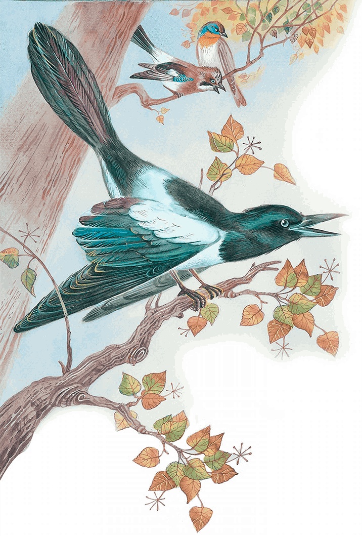 Иллюстрация к книге — Бемби [i_005.jpg]