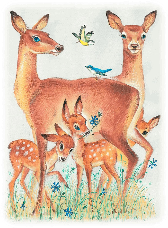 Иллюстрация к книге — Бемби [i_014.jpg]