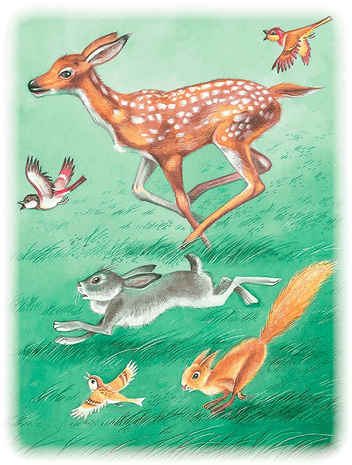 Иллюстрация к книге — Бемби [i_021.jpg]