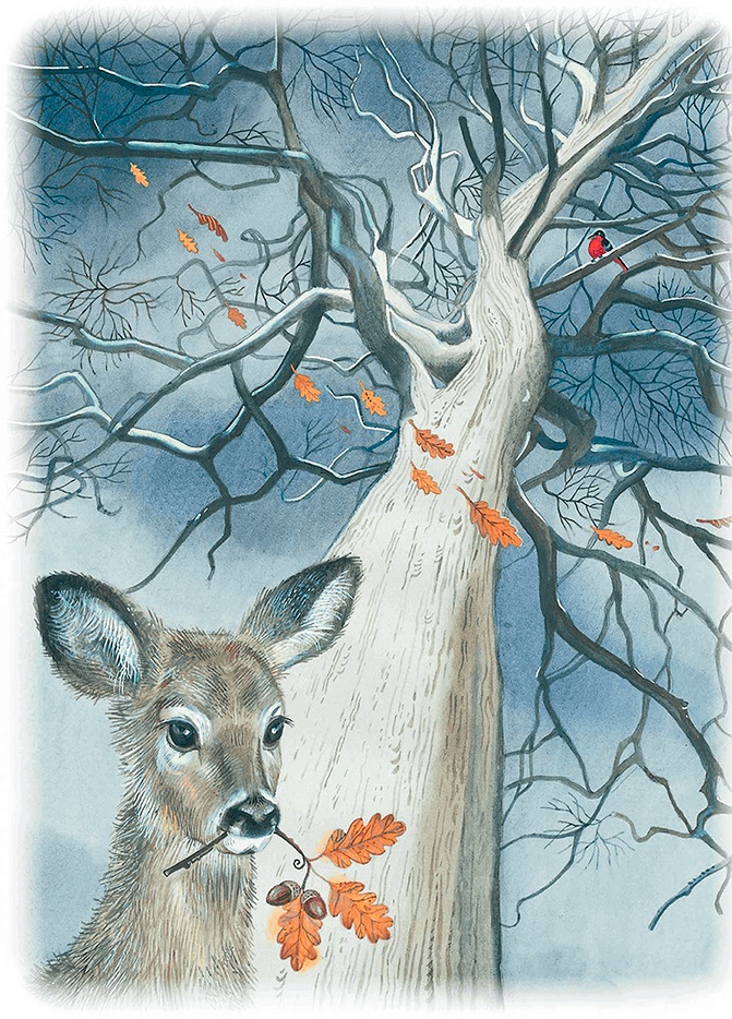 Иллюстрация к книге — Бемби [i_022.jpg]