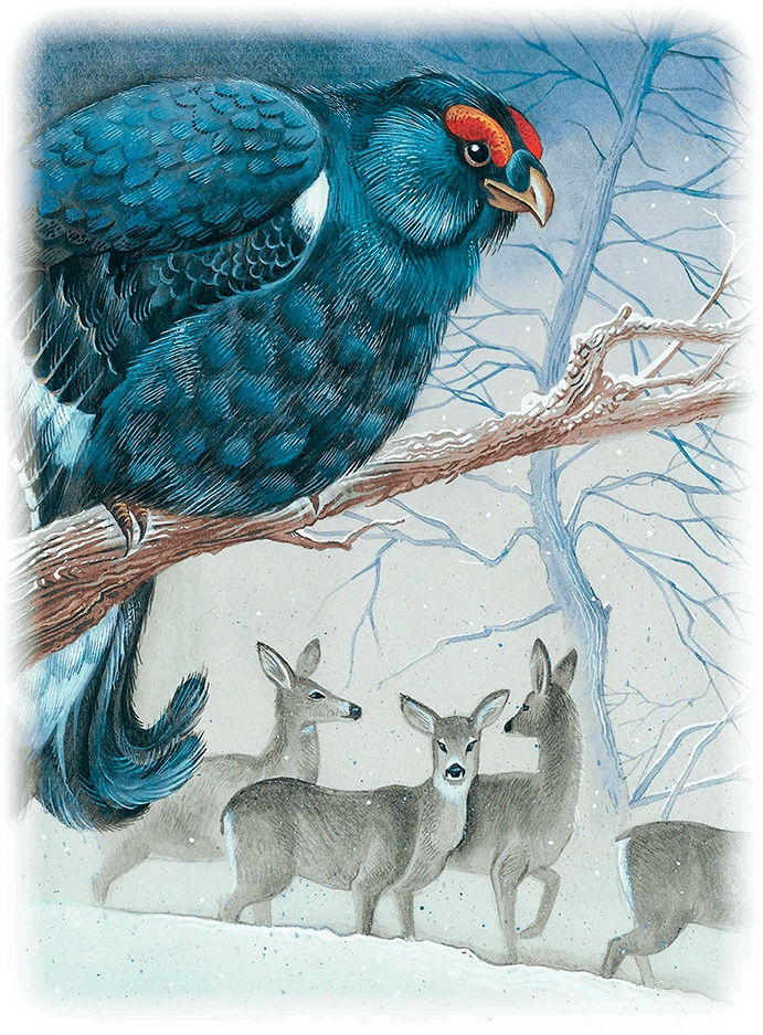 Иллюстрация к книге — Бемби [i_023.jpg]