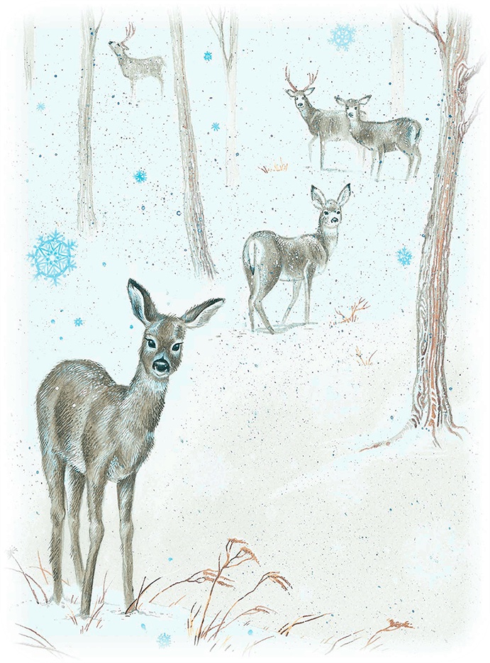 Иллюстрация к книге — Бемби [i_024.jpg]