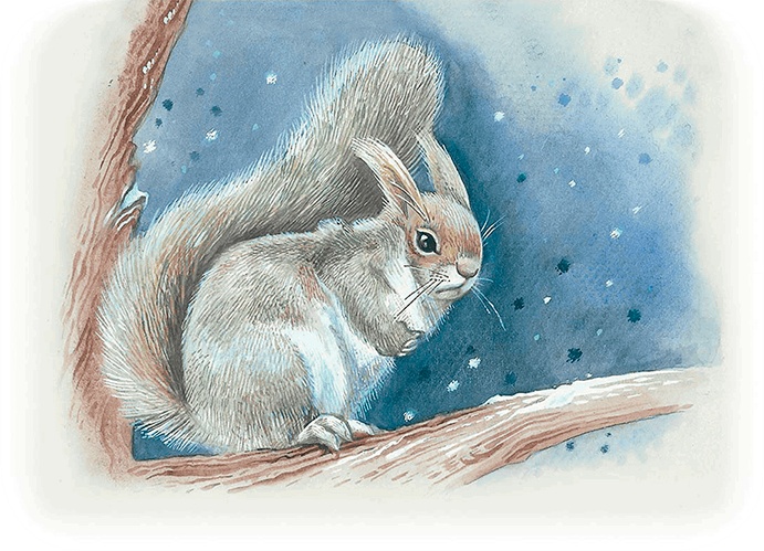 Иллюстрация к книге — Бемби [i_026.jpg]