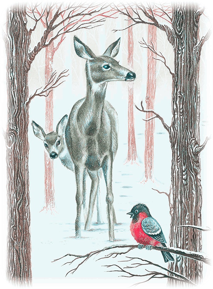 Иллюстрация к книге — Бемби [i_027.jpg]