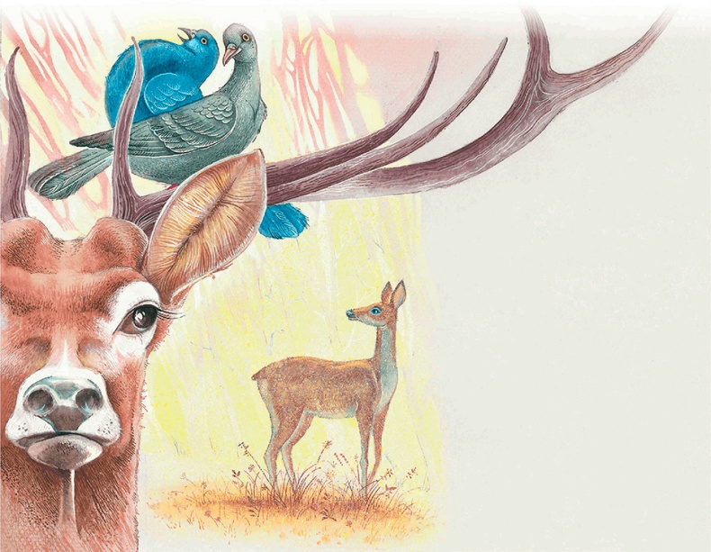 Иллюстрация к книге — Бемби [i_033.jpg]