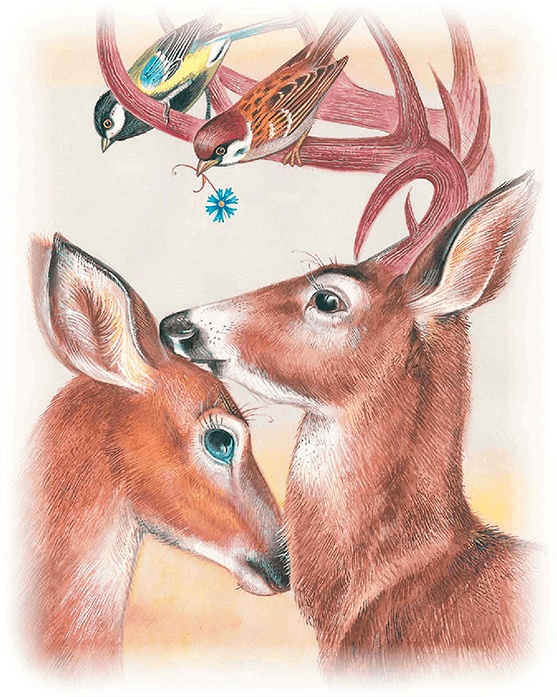 Иллюстрация к книге — Бемби [i_035.jpg]