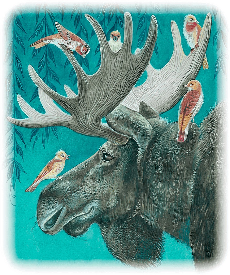 Иллюстрация к книге — Бемби [i_037.jpg]